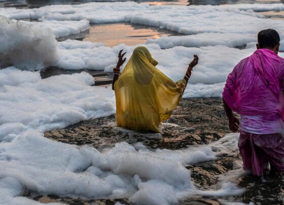 12000 litre milk in narmada