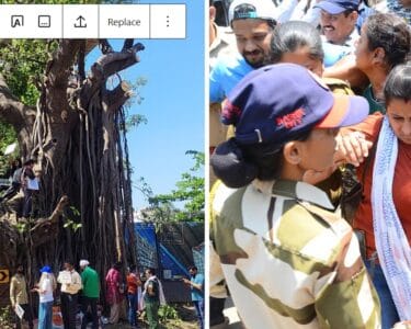 nasik save trees