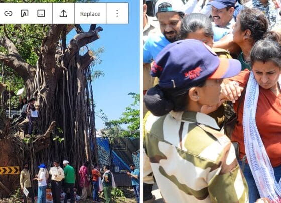 nasik save trees